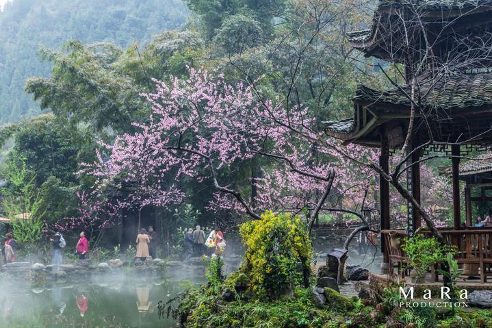 男子服务区修车被同行抢走工具,期间多次推搡恐吓:这里我承包了